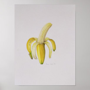 Poster Une banane à moitié pelée 1997