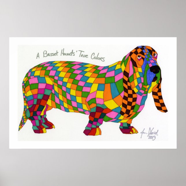 Poster Une Basset Hounds Vraies Couleurs, Basset Hound Po (Devant)