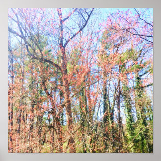 Poster Une belle scène forestière au printemps