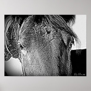 Poster Une belle vue