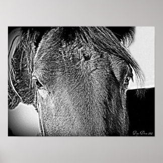 Poster Une belle vue