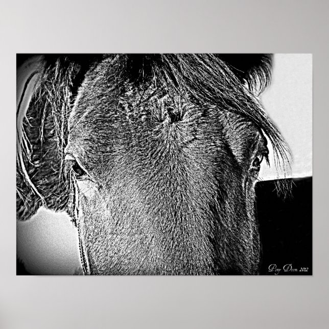 Poster Une belle vue (Devant)