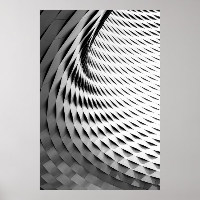 POSTER UNE FAÇADE COURVÉE COUVERTE DE LATICEWORK BLANC (Devant)
