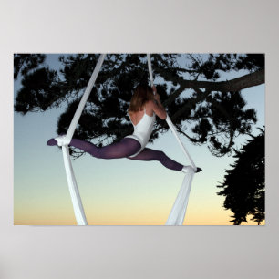 Poster Une fille dans l'arbre suspendue avec des soies aé