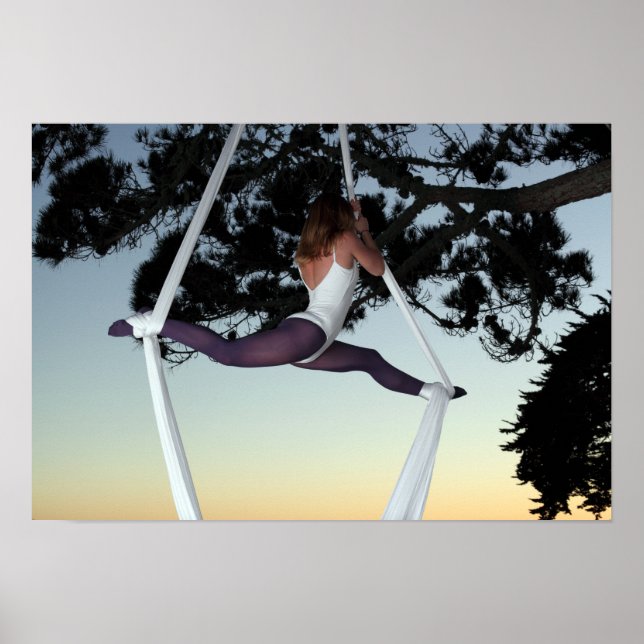 Poster Une fille dans l'arbre suspendue avec des soies aé (Devant)