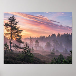Poster Une forêt boréale majestueuse à l'aube avec une ra