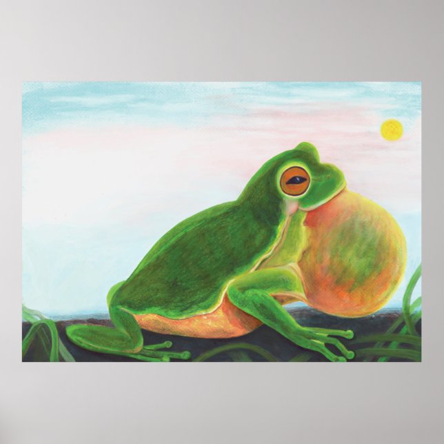 Poster Une grenouille mâle chante une chanson pour attire (Devant)