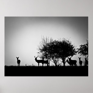 Poster Une image de cerfs dans la brume matinale