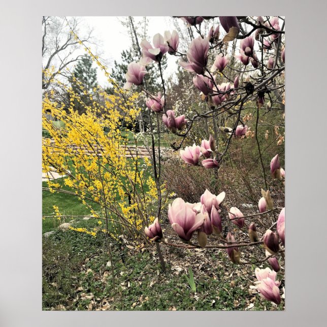 Poster Une journée dans le parc (Devant)