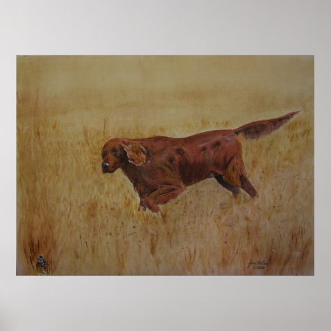 Poster Une journée de terrain irlandaise (Devant)