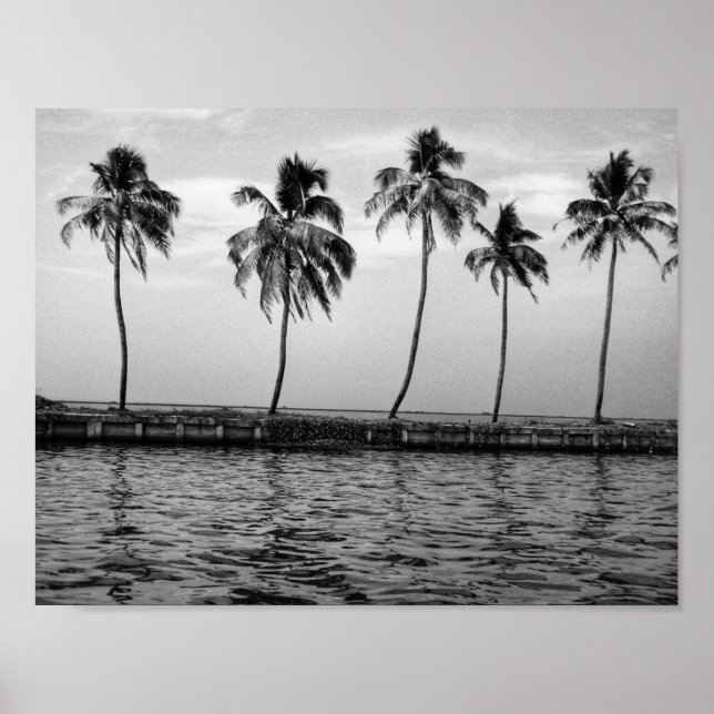 Poster Une ligne de palmiers en noir et blanc (Devant)