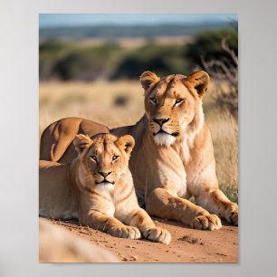 Poster Une lionne avec son petit