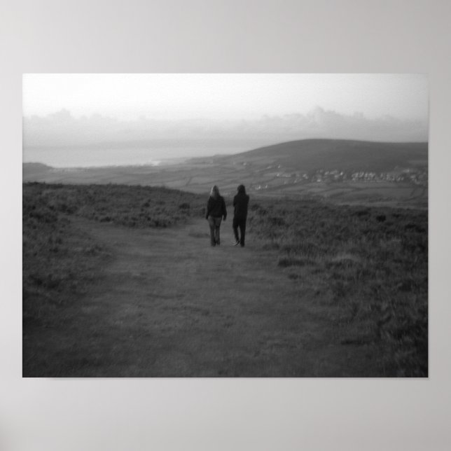 Poster Une Longue Promenade À La Maison (Devant)