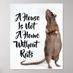 Poster Une maison n'est pas une maison sans rats