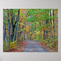 Une marche dans les bois d'automne Photographie or