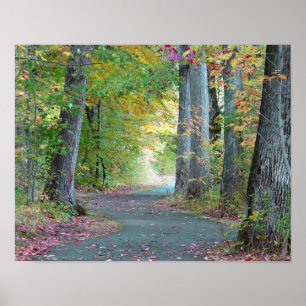 Poster Une marche dans les bois Photographie originale Po