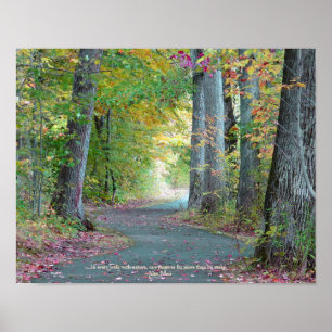 Poster Une marche dans les bois Photographie originale Po