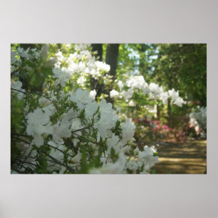 Poster Une marche printanière