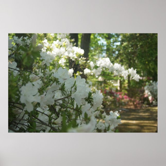 Poster Une marche printanière (Devant)