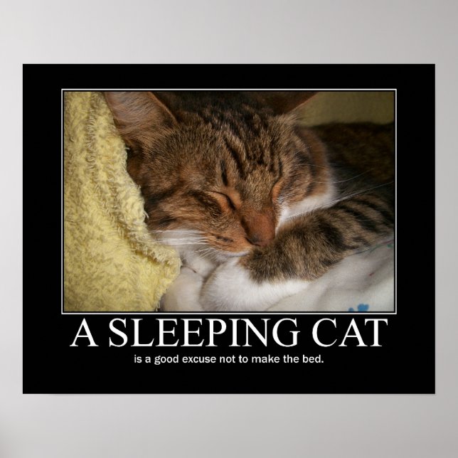 Poster Une oeuvre de chat couché (Devant)