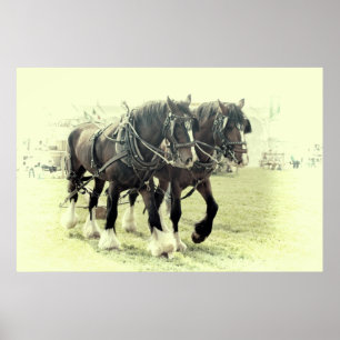 POSTER UNE PAIRE D'AFFICHE DE SHIRES