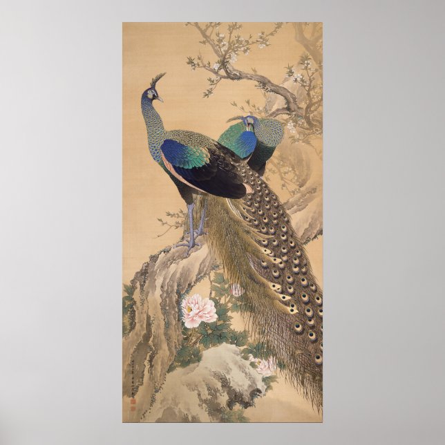 Poster Une paire de paons au printemps par Imao Keinen (Devant)