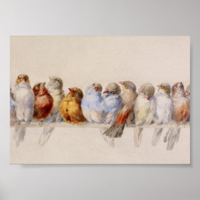 Poster Une perche d'oiseaux Hector Giacomelli 1880 (Devant)
