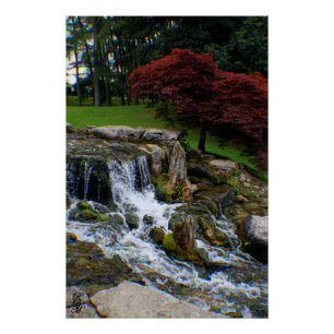 Poster Une petite cascade