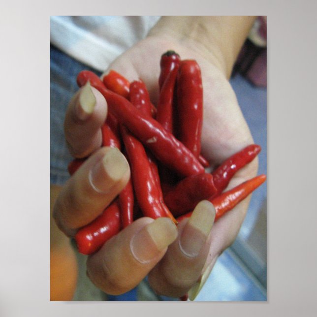 Poster Une poignée de chili ... Thai Street Food (Devant)