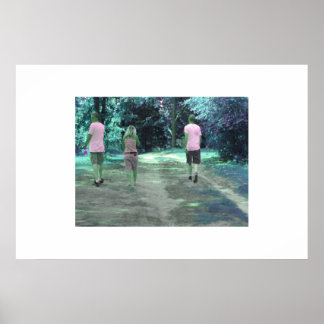 Poster Une Promenade À Remeber