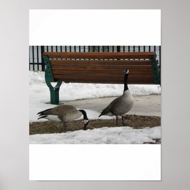 Poster Une promenade dans le parc (Devant)
