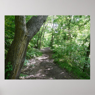 Poster Une promenade dans les bois