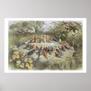 Poster Une répétition en terre fée, illustration de "In F