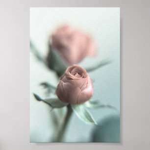 Poster Une rose rose rose pour votre amour...
