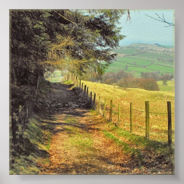 Poster Une route de campagne galloise (Devant)