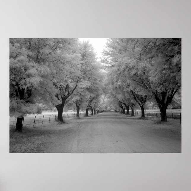 Poster Une route rurale (Devant)