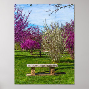 Poster Une saison printanière