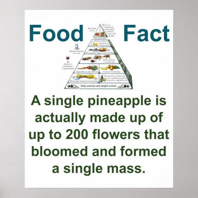 Poster Une Seule Ananas Est En Fait Fabriquée - Food Fact (Devant)