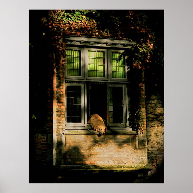 Poster Une sieste au soleil II (Devant)