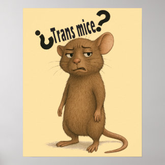 Poster Une souris confondue par une déclaration muette