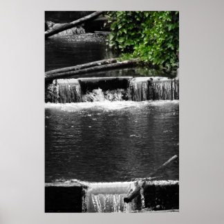 Poster Une touche de vert