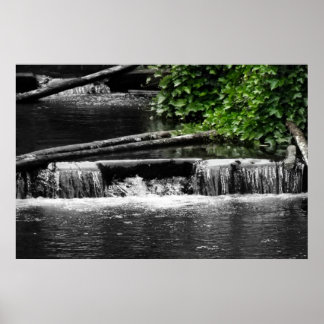 Poster Une touche de vert