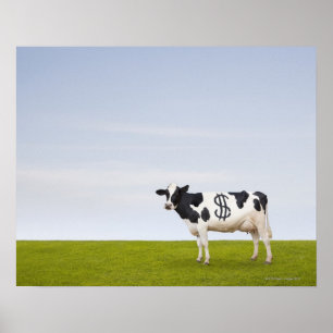 Poster Une vache laitière du Holstein avec des taches