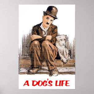 Poster Une Vie de Chien Charlie Chaplin 1918 Film Classiq