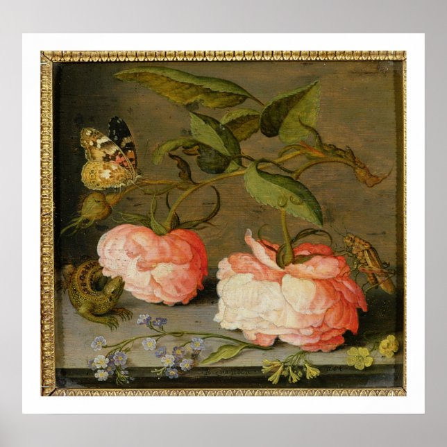 Poster Une vie morte avec des Roses sur une haie (Devant)