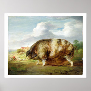 Poster Une vieille tache de Gloucestershire (huile sur le