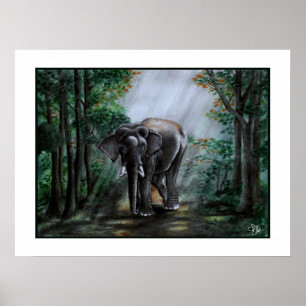 Poster Une Voix Pour Le Sauvage