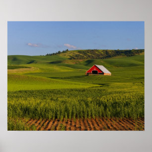Poster Une vue panoramique d'une grange à Moscou Idaho.