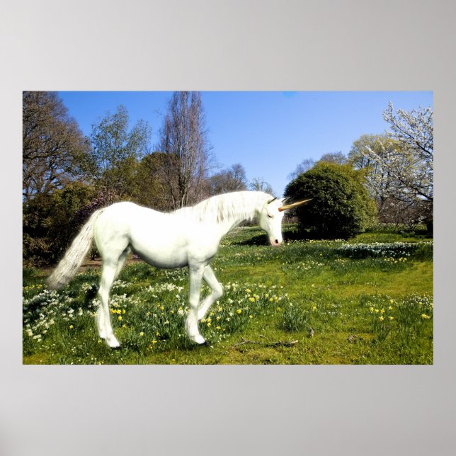 Poster Unicorne (Devant)