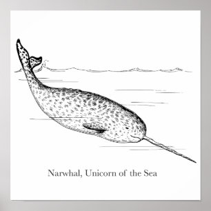 Poster Unicorne de baleine de Narwhal de la mer